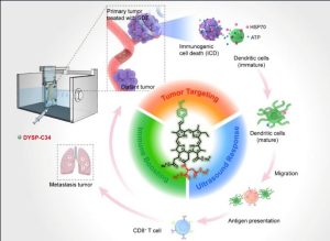 Immune-Boosting Molecular Machine for Systemic Tumor Suppression